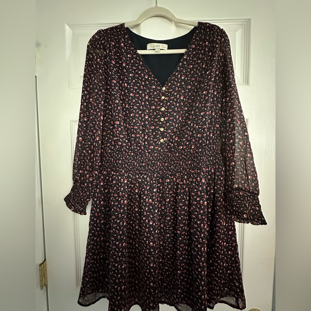 LOFT PL black with red/black lady bugs 🐞 dress.